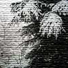 winter album